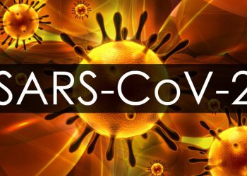 SARS-CoV-2, the virus that causes COVID-19, has prompted more questions than science can answer.